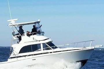 Mid Size Private Charter cruising